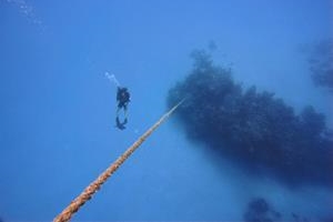 Bahamas 2026