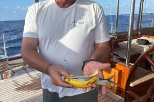 Bahamas 2026